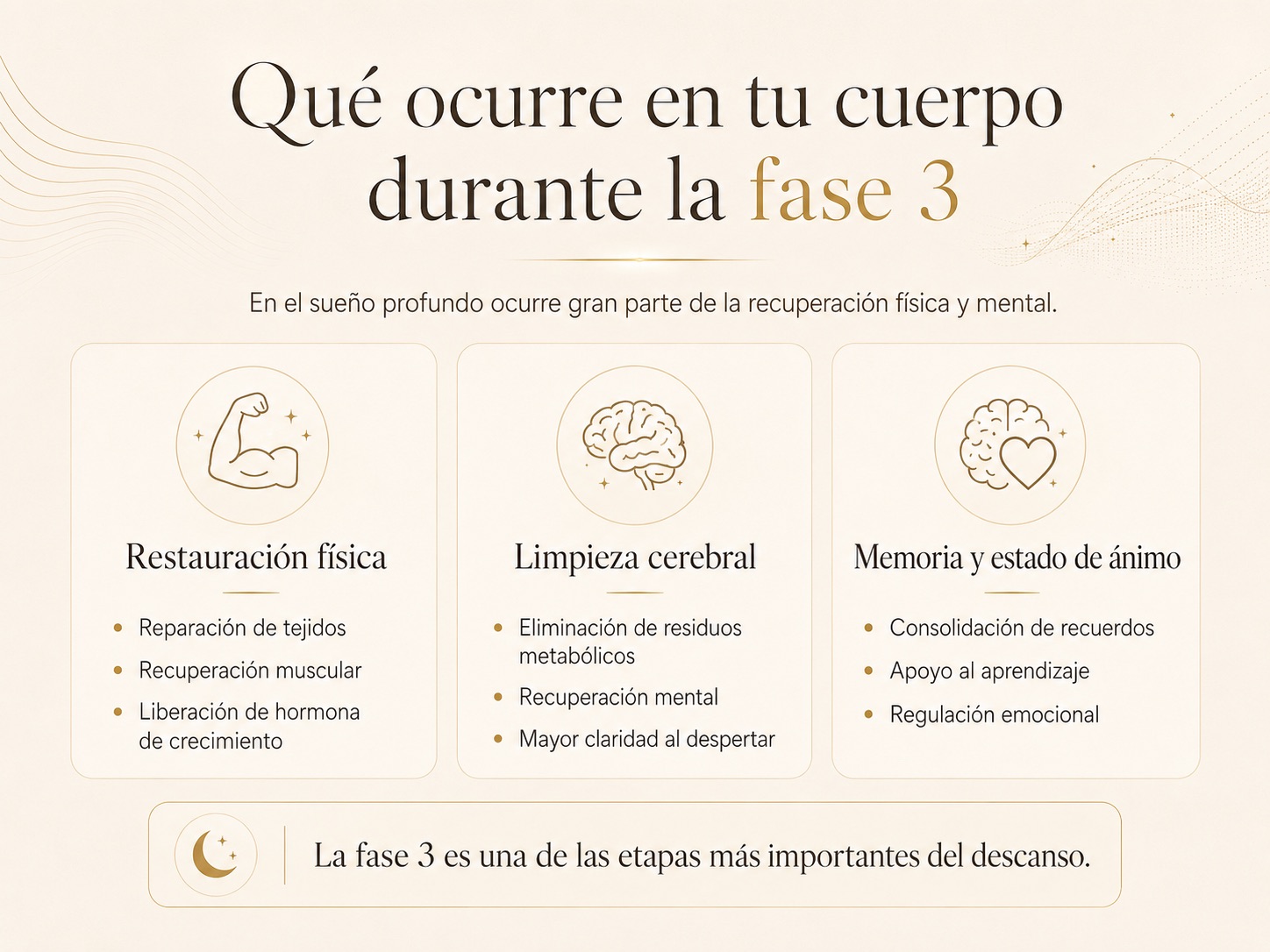 Infografía sobre los beneficios de la fase 3 del sueño profundo: restauración física, limpieza cerebral, memoria y estado de ánimo